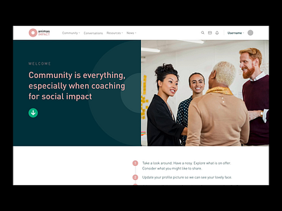 Animas Impact Hub Homepage | UI Design art direction brand identity branding
