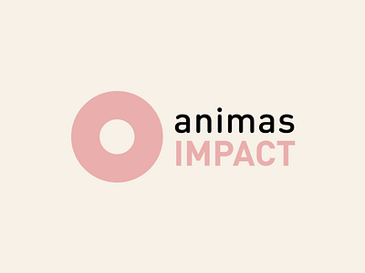 Animas Impact Identity art direction brand identity branding