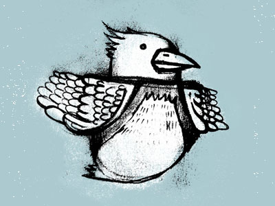 Birdddy illustration