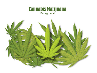 green cannabis marijuana leaves background