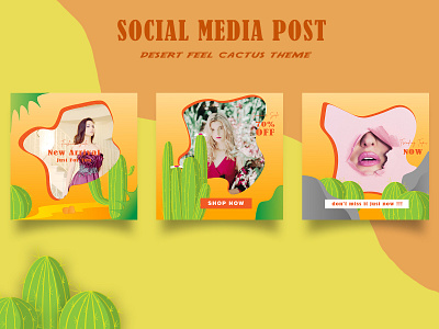 desert feel cactus theme instagram post set template app design art branding design illustration social media design socialmedia vector