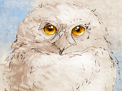 Baby Owl hand drawn mixed media owl photoshop