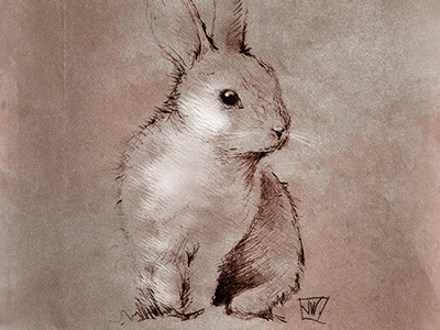 Bunny Rabbit bunny digital drawing rabbit sepia