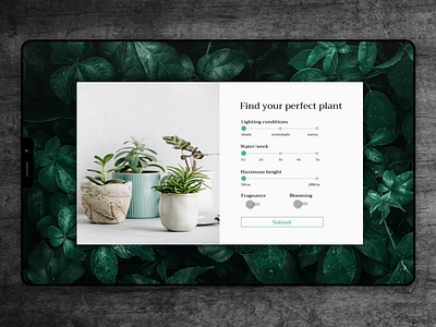 Daily UI challenge - Day 004 animation calculator calculator design daily ui daily ui 004 dailyui dailyui004 design green plant plants vector