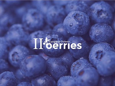 Berries Marca berries branding branding integral chile congress fruit logo temuco ufro