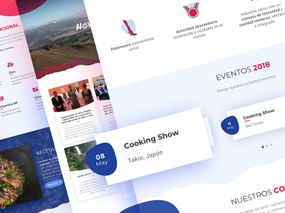 Redesign Site Chilean UI /UX designweb modular ui ux web