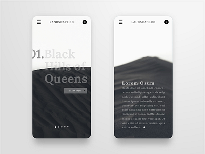 UX/UI Mobile APP Color Explore: Black & White