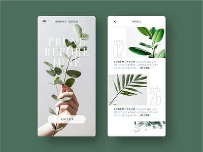 UX/UI Mobile App color explore app beauty bontorno branding color color exploration design digital flat graphic green illustration logo prune spring typography ui ux vector web