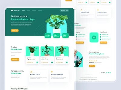 Decorative Plants | Landingpage UI UX Design Concept