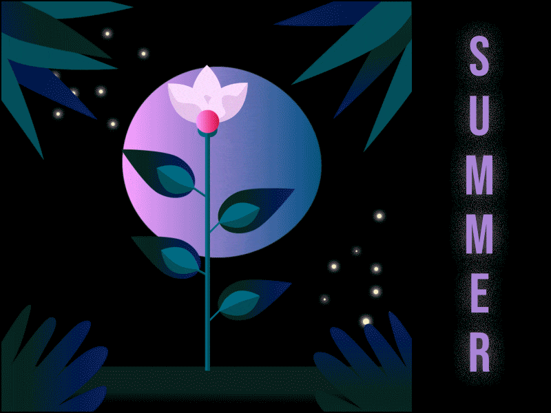 Night Flower adobe illustrator aftereffects animation colourpalette design digitalart dreamy flowerillustration forest geometry gradients graphicdesign illustration motion design motiongraphic summertime vector