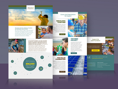 The Salal Foundation - Splash Page Design