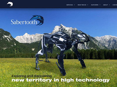 Sabertooth Technology Group 3d art 3d modeling 3dsmax animation application design branding business identity design ecommerce marketing collateral photoshop webdesign website website design