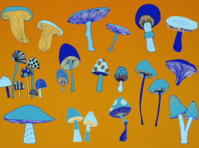 Mushrooms hand drawn illustration illustration art mushroom mushrooms photoshop