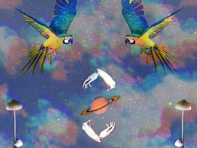 Bird Immunity Cover album cover collage art collageart cover illustration music photoshop psychedelic techno