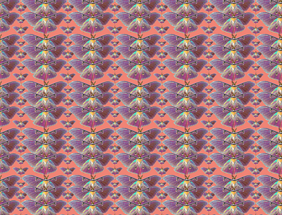 mariposa estampado continuo desinger illustration pattern design textile design