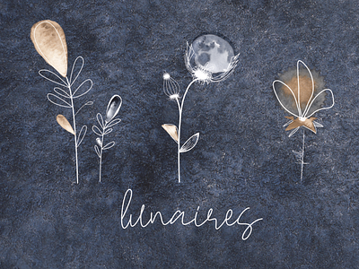 Fleurs Lunaires - Atelier Pöh flowers freelancedesigner freelanceillustrator graphisme illustration illustration design moon watercolor