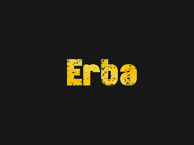Erba brand identity branding business identity creative creative logo design illustration logo logo design minimal logo modern typography typography typography logo vector