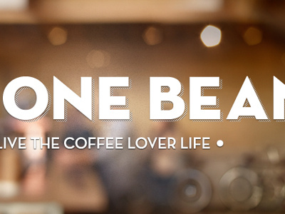 No One Bean button coffee coffee website drop shadow homepage logo texture website