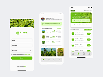 e-Bako - Tobacco Planting App app design design planting design tobacco design ui user experience user interface ux