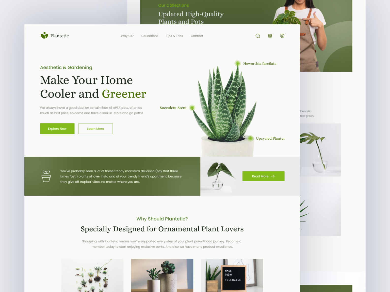 Plantetic - Plant Shop Website Landing Page by M. Fata Habibullah on ...