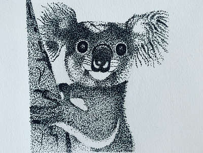 Koala animals animals illustrated art artwork design drawing illustration illustrator koala pen sketch sketchbook stippling