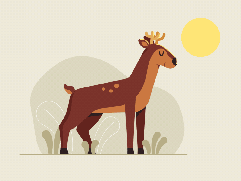 "Day \ Night" aftereffects animation deer design illustration illustrator unicorn vector