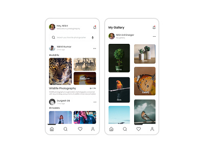 Photography App cx photes photography app ui designs uitrends uiux wildlife
