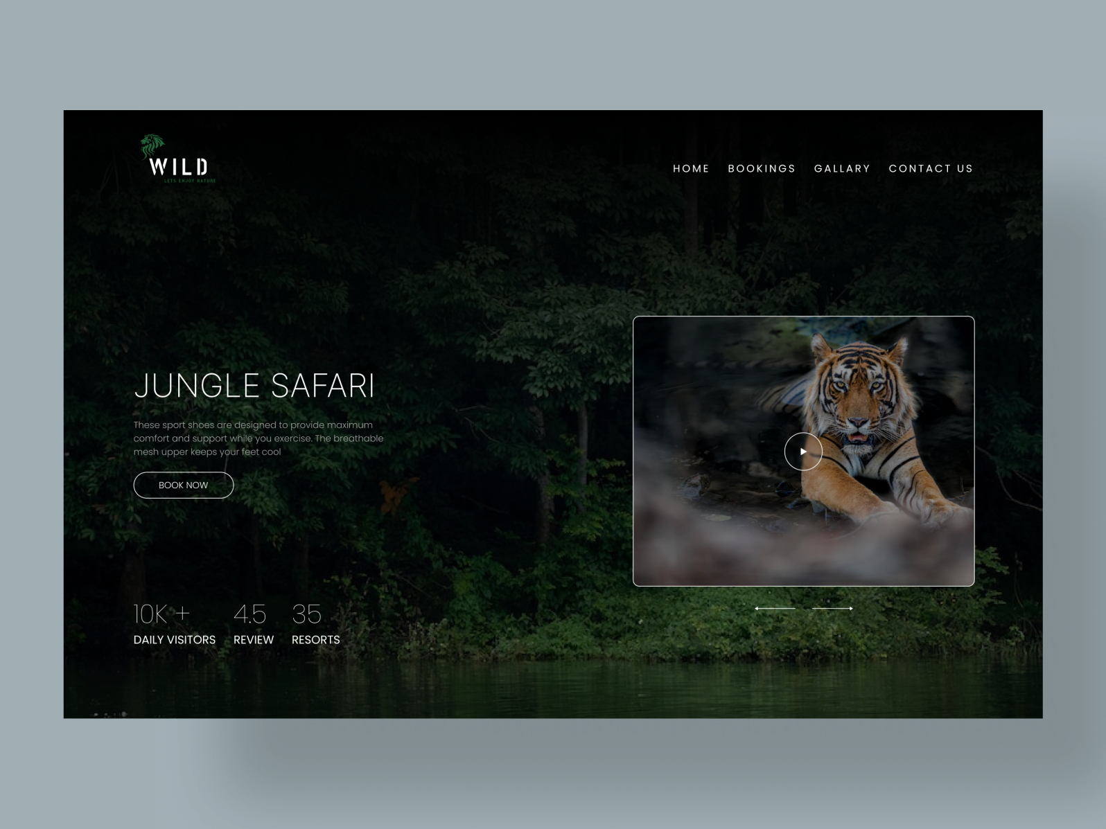 jungle safari website