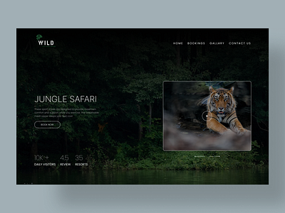 Jungle Safari Web Site Design: Landing Page / Home Page UI design dribble ui ui design ux we design