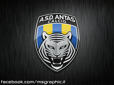 Logo for football team