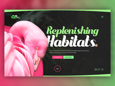 Habitat Rehabiliation UI Concept animated animation dailyui design flamingo fyresite interaction interactive landing page loader loading pattern ui uiux ux web web design