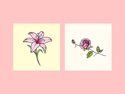 Blooms bold bright drawing floral floral art florals flower flowers icon illustration leaves pink flower rose roses tattoo tattoo art tattoo design tiger lily vector