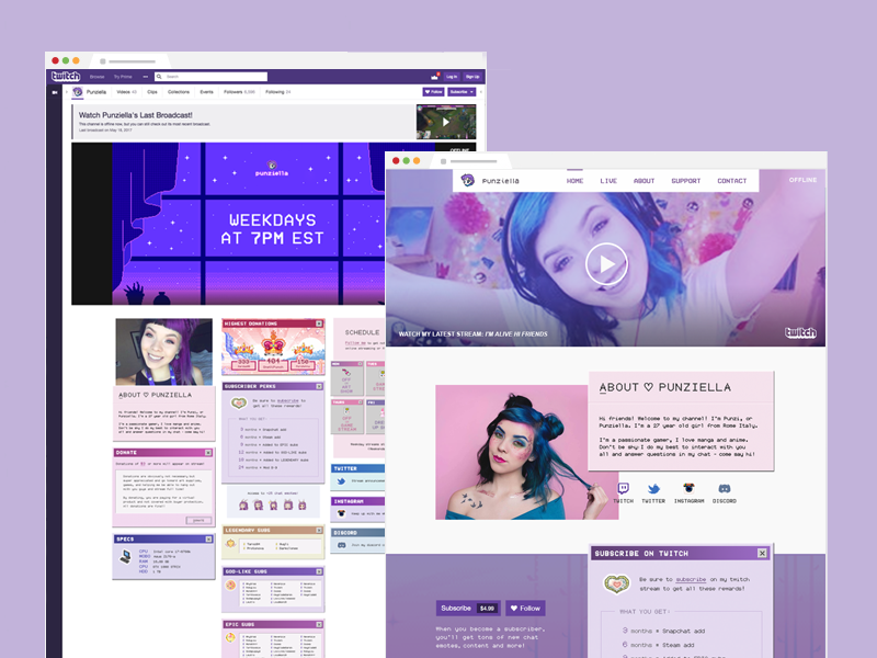 Mockup showing Twitch website with the assets