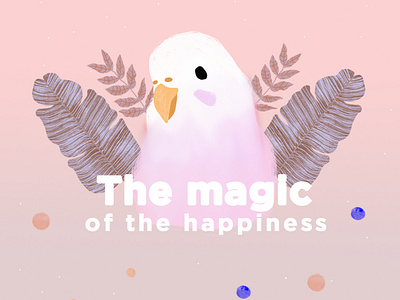 The magic of the happiness