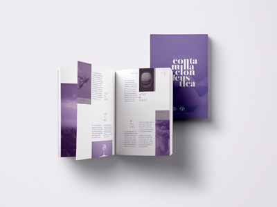Colección Metrópoli; serie Contaminación Acústica collection design editorial typography