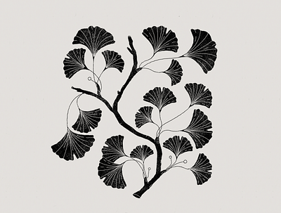 Black leaves black botanic botanical graphics illustration illustration art leaves leaves logo plants