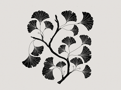 Black leaves