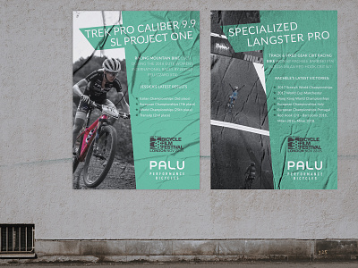 Palu Performance Bicycles design print