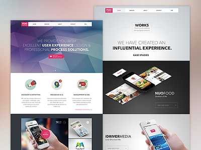Nuoidea website Design