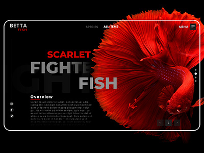 Bettafish Web UI animation design illustration illustrator typography ui ux vector web website
