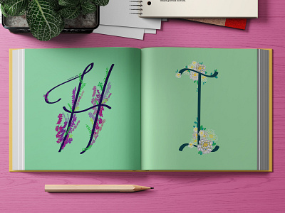 Heather / Iberis colorful flowers illustration illustrator typography