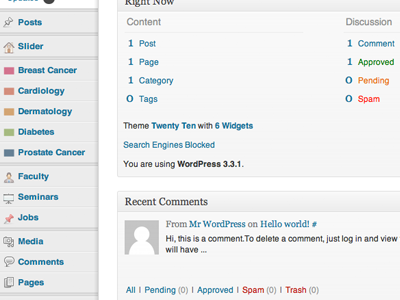 Custom Wordpress Admin