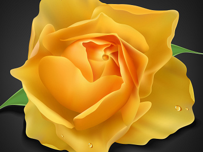 Realistic Yellow Rose Vector