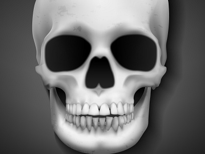 Realistic Skull Head adobe illustrator branding design halloween human illustration skull vector web