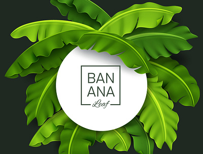 Banana Leaves Banner adobe illustrator banana banana leaf banner branding design eco green illustration nature round sign tropic tropical vector