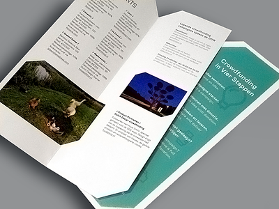 Dutch Design Starter Campaign Brochure and Insert