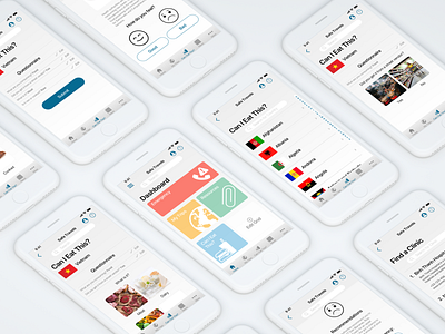 CDC Safe Travels App vol. 2 cdc contact dashboard dashboard design documents emergency food safety app important documents list view mobile app sketch travel app travel app design travel app ui uidesign uidesigns uiuxdesign uiuxdesigner uxdesign warning