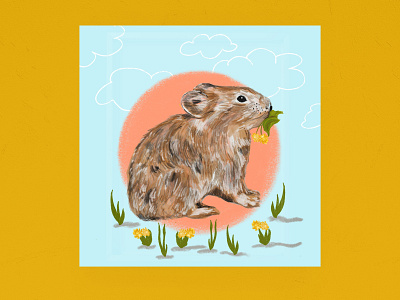 Collared Pika Icon and Pattern