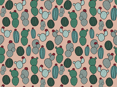 Cactus. Pattern Illustration