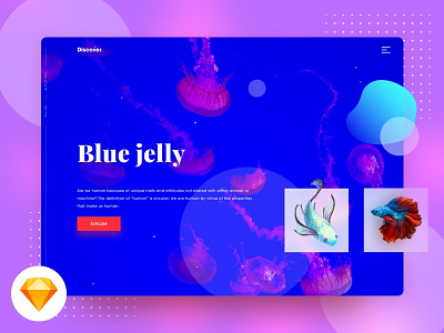 Blue Jelly UI - Free Sketch file animal aquatic fish free jellyfish landing page sketch ui underwater ux web design